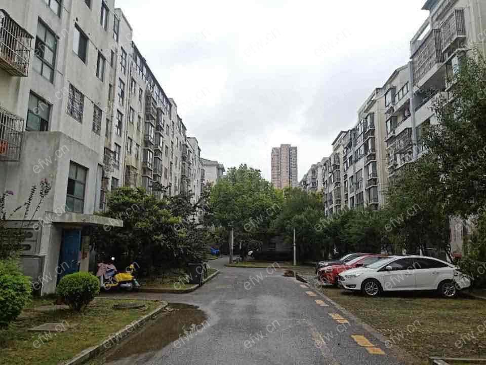 东风家园 2室1厅