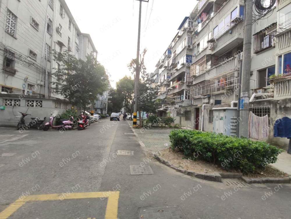 曹张新村 1室1厅 环境好 精装修 拎包入住