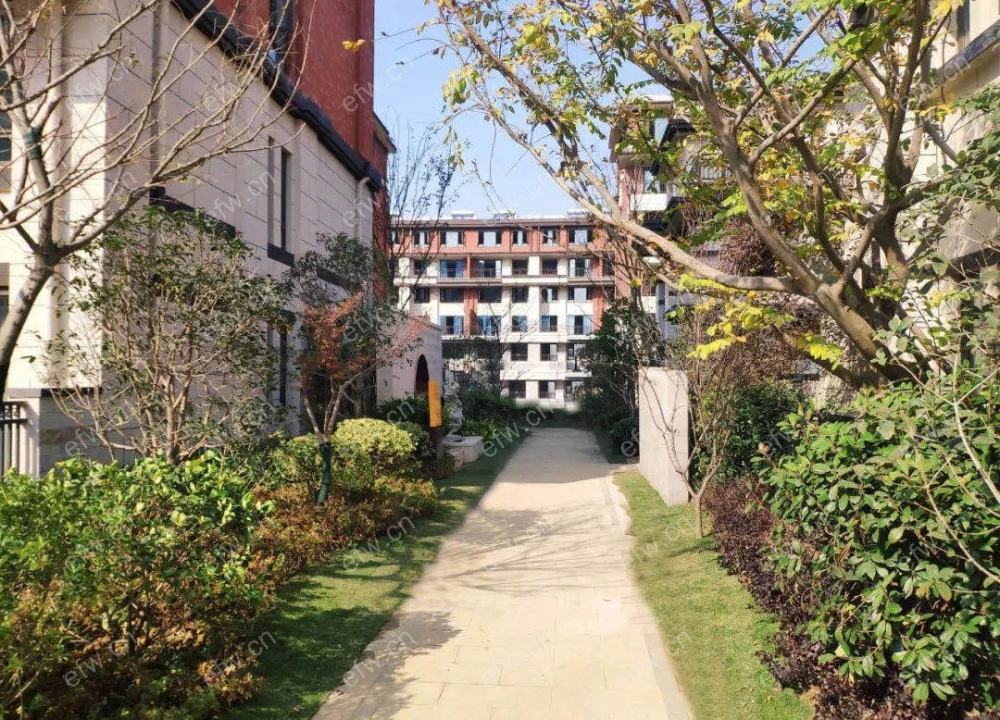 湖晓兰庭（十里明珠）