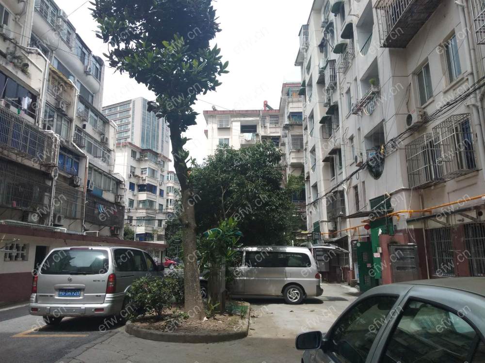 置煤浜 1室1厅