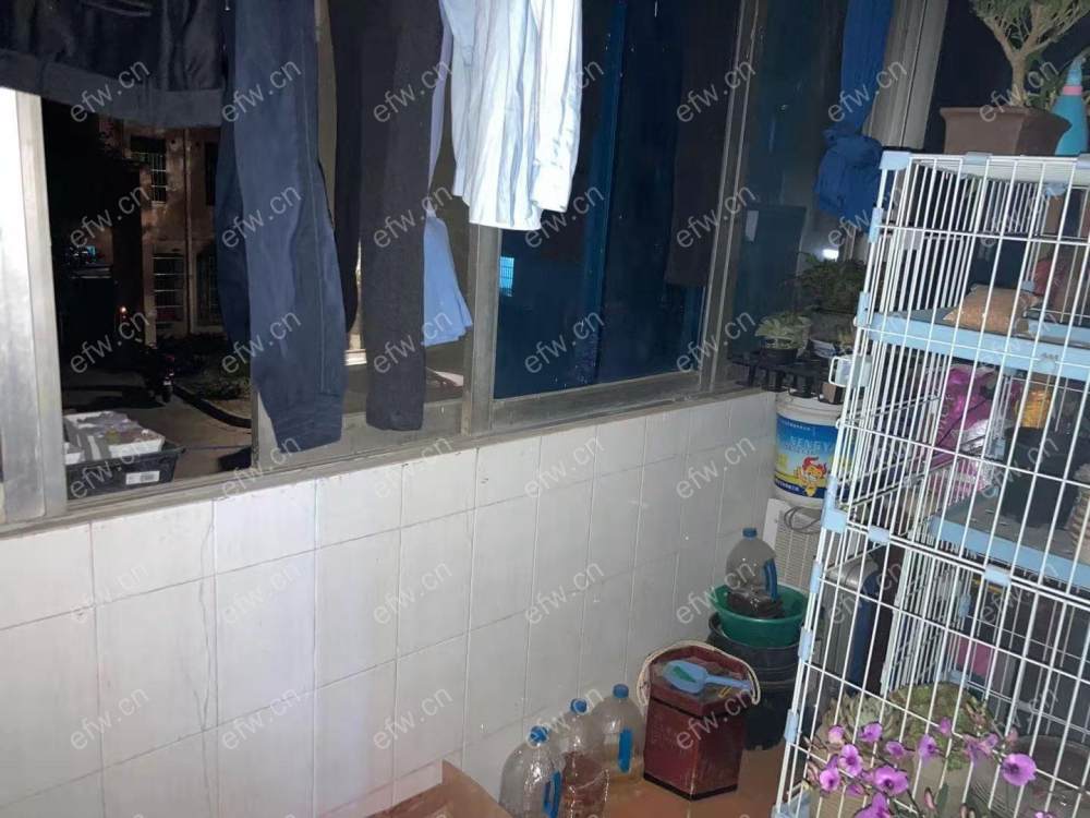 荷叶新村  2室1厅