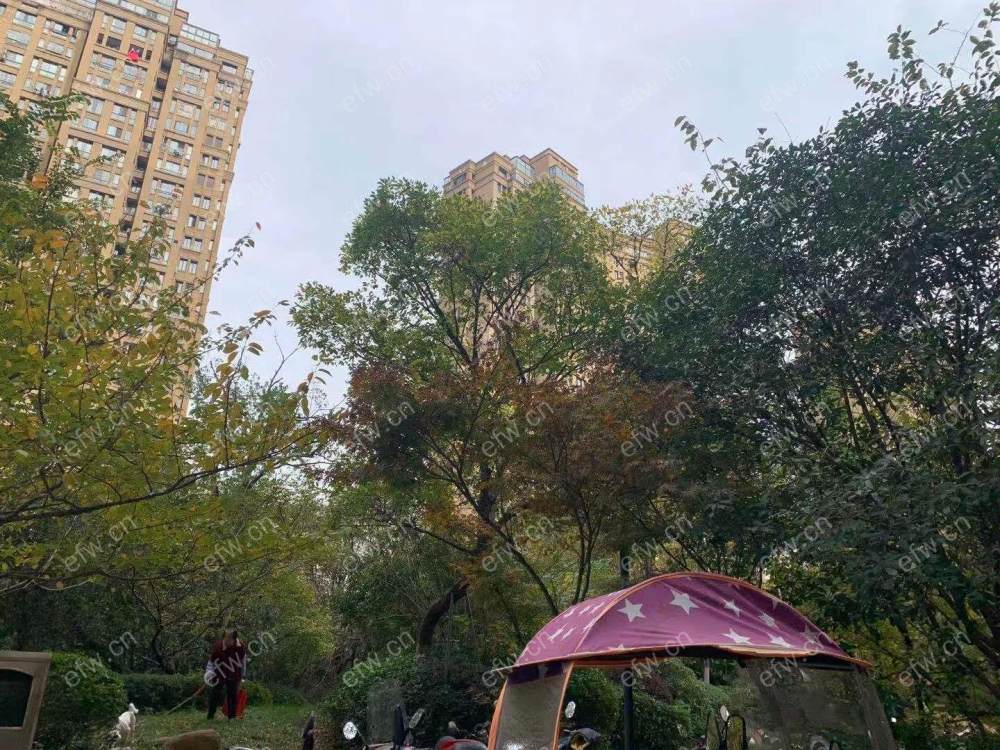 带租客出售，月租金可到4700元/月