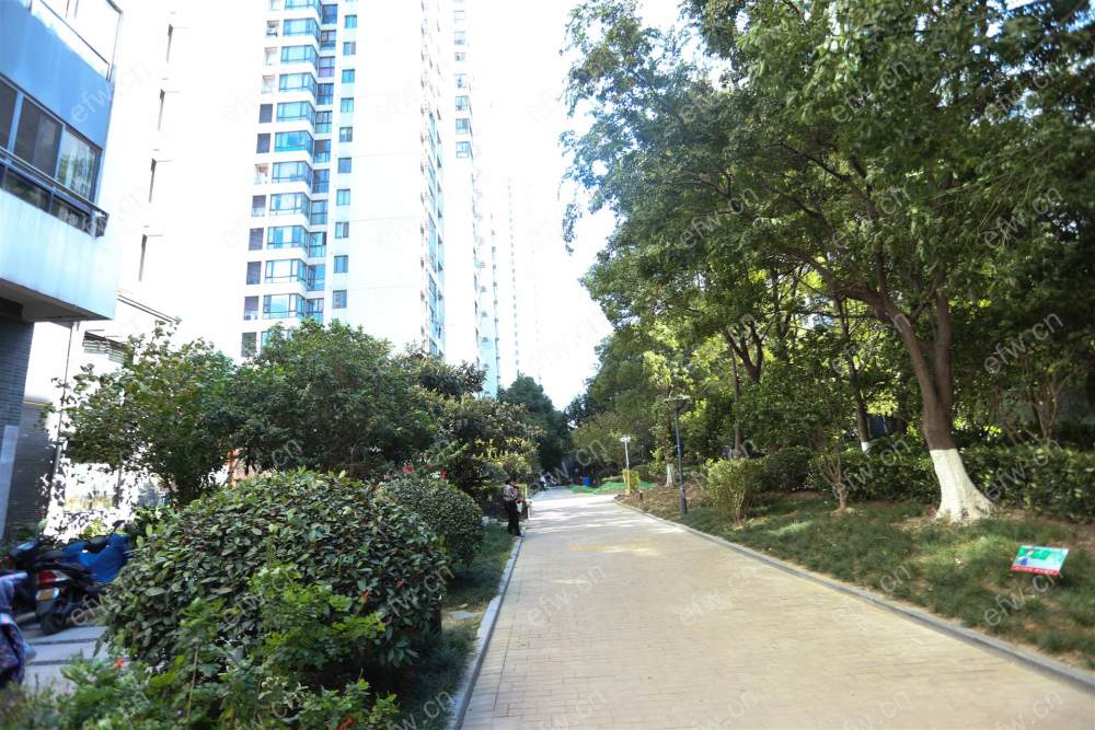 万达广场C区 3室2厅