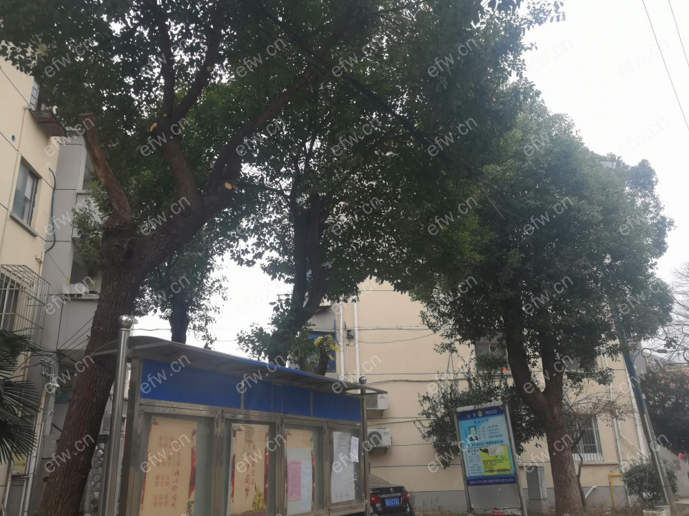上严巷荣院宿舍