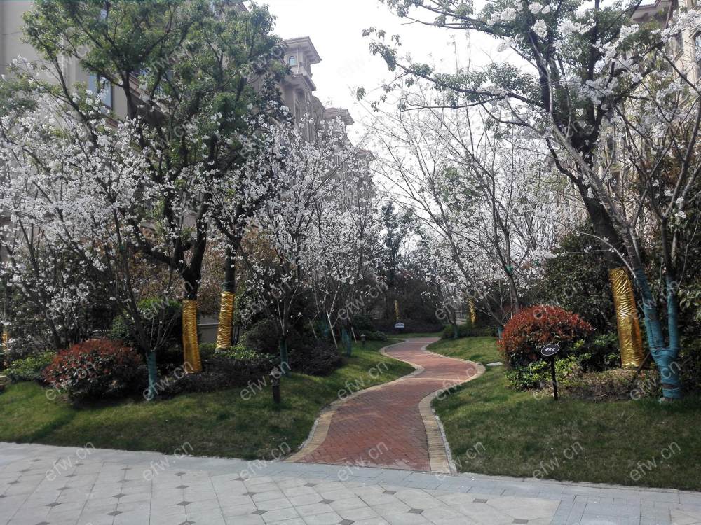 金域香颂