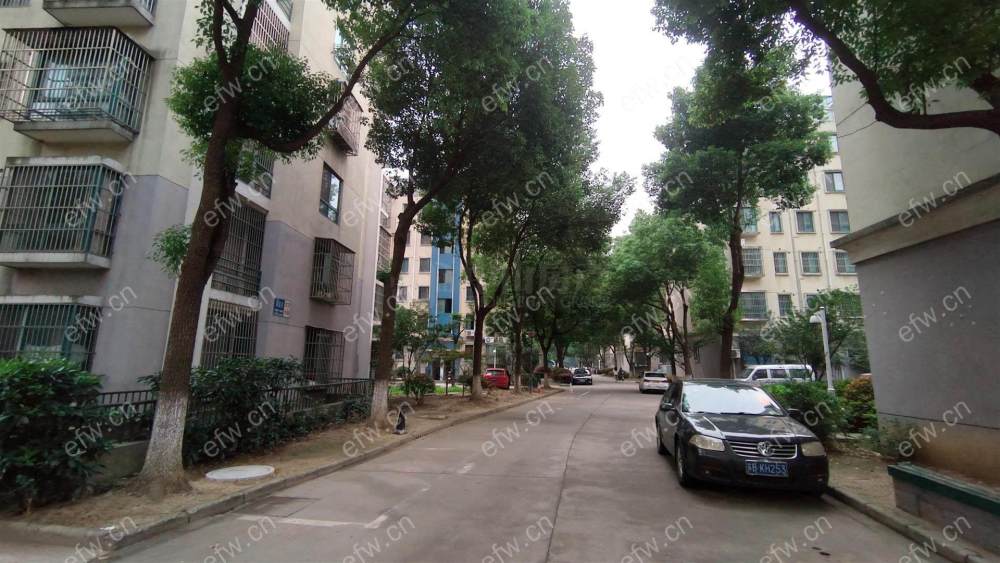 月溪苑 3室2厅，自住精装