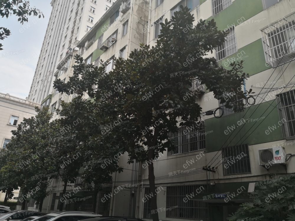 华东大院
