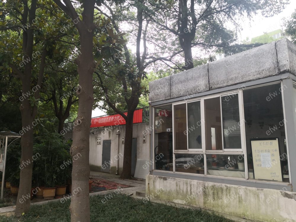 华东大院