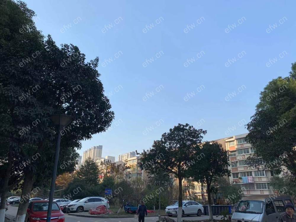 龙塘家园 2室2厅.......