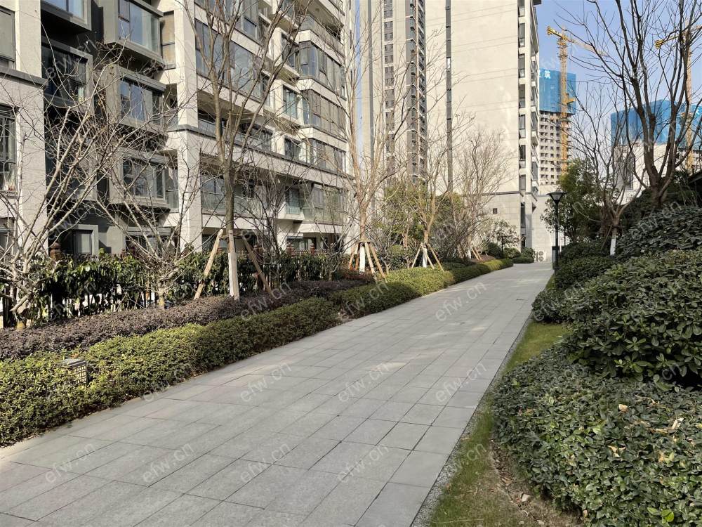 富力运河十号  4室2厅