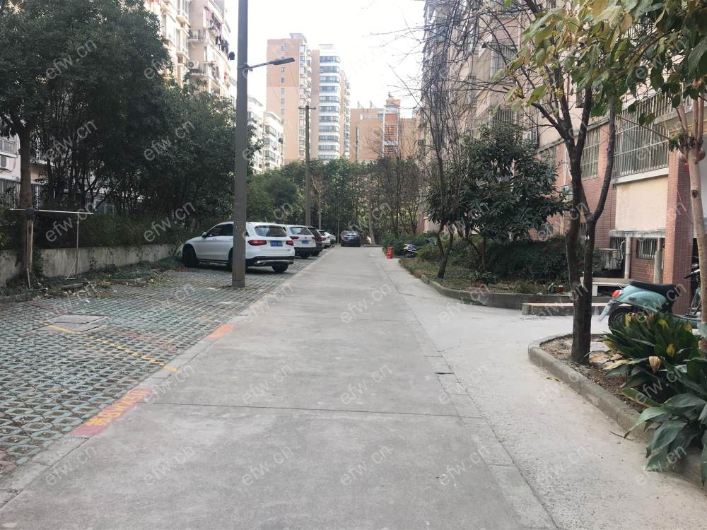 西园里 2室2厅2卫
