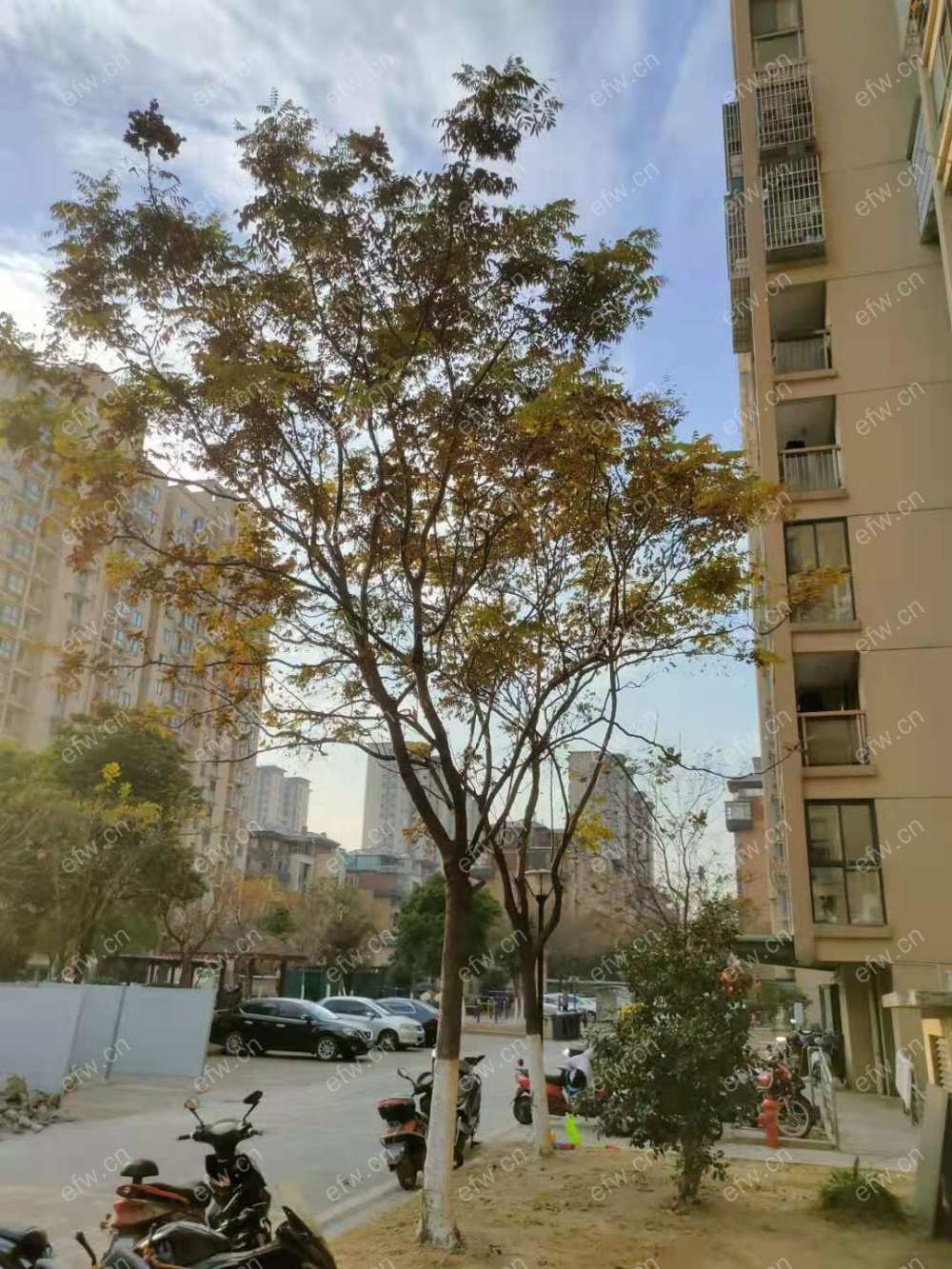 云林春雷苑B区