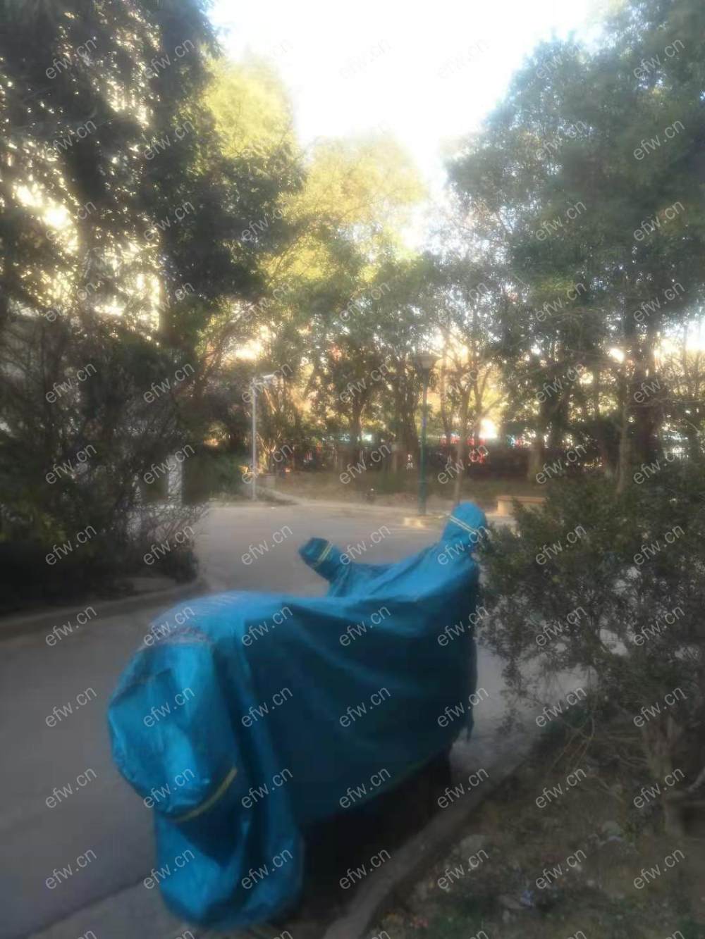 梅苑新村
