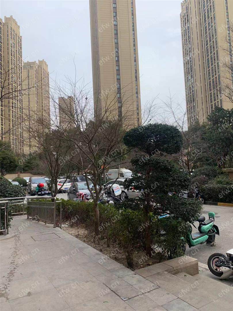 金科米兰（一期1-37） 1室1厅