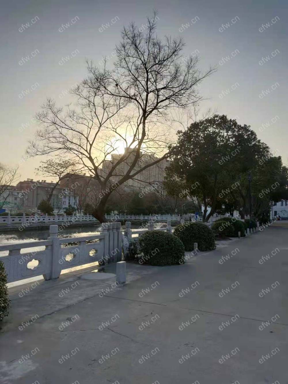 庄桥新村
