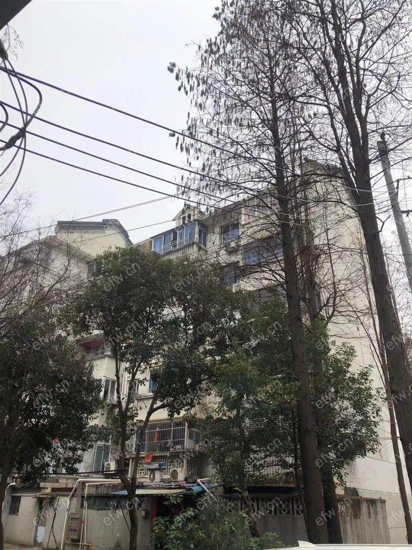 清扬新村 1室1厅1