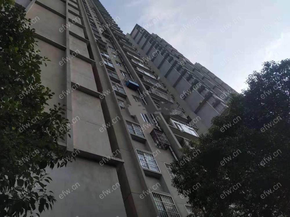 沁园新村 3室2厅
