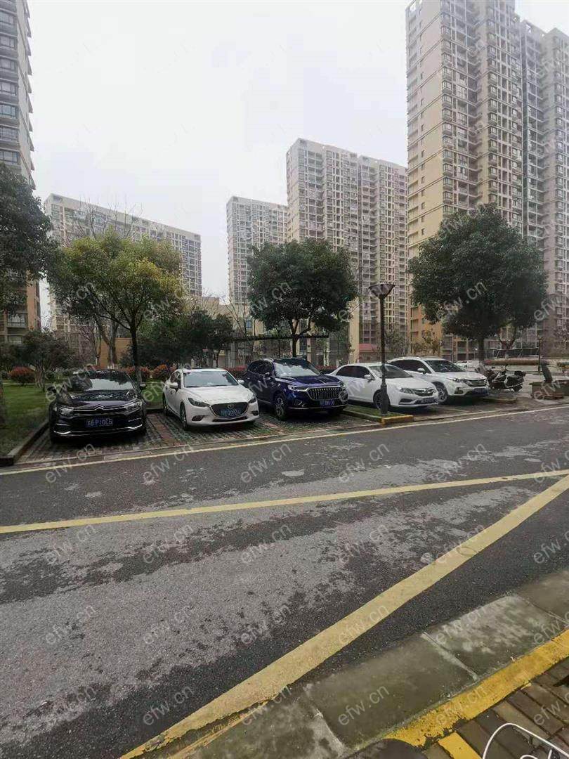 芦村家园精装1室  随时看房 拎包入住