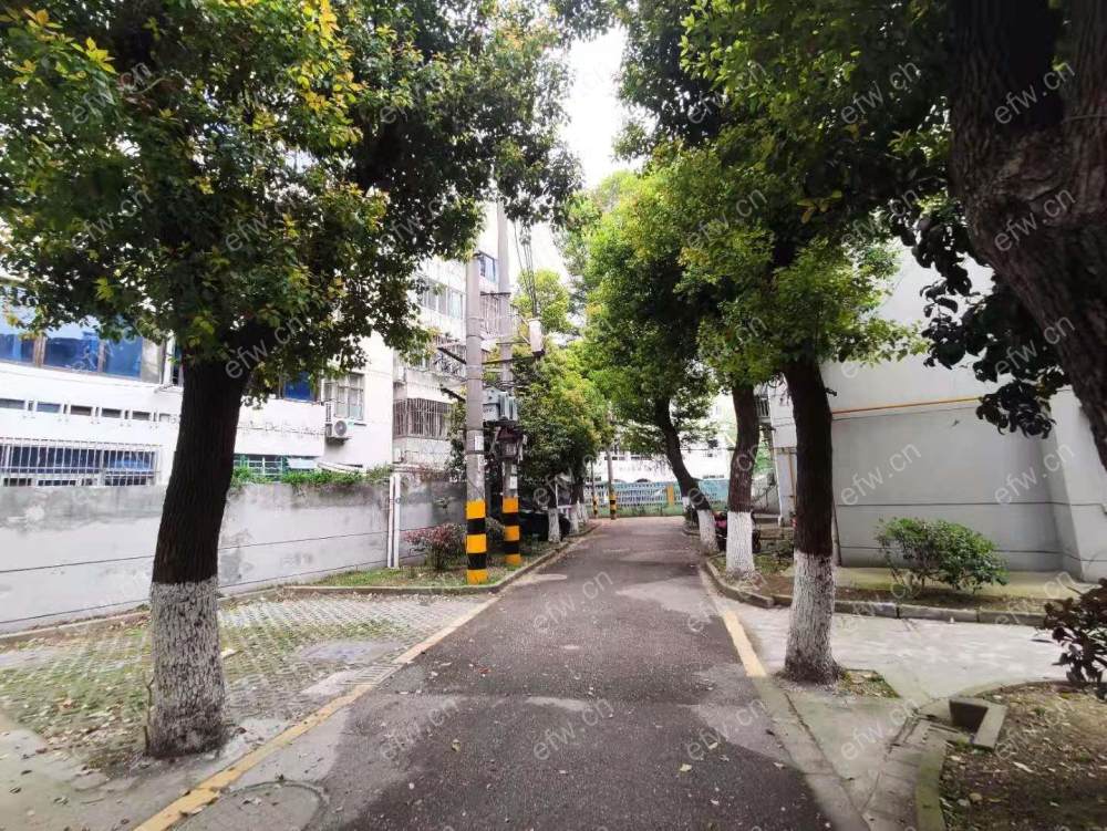 清扬新村 2室2厅.........