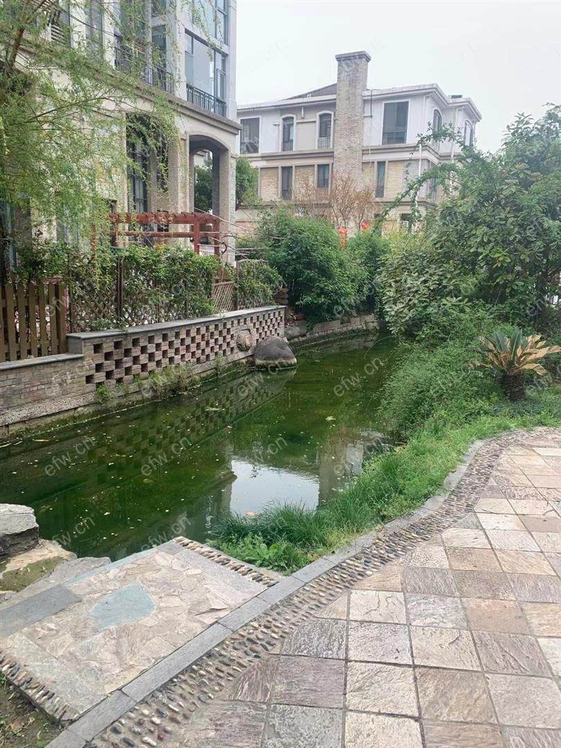 长江际花园一期位置好，环境优雅，205.00平米复式精装4房随时看房 看中可议