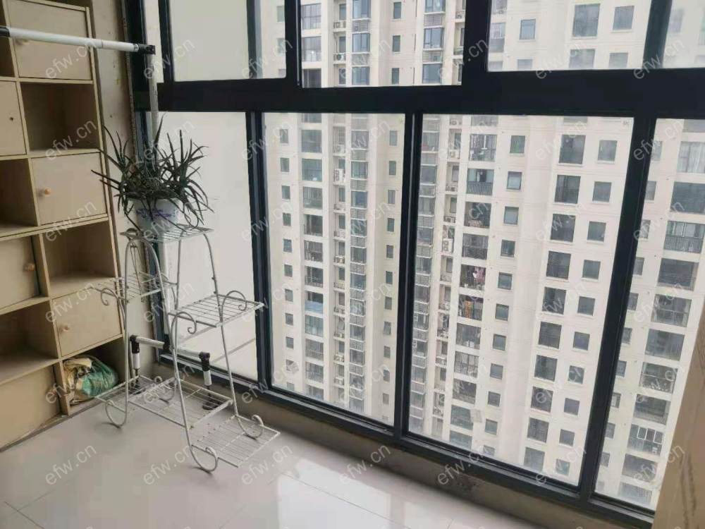 芦村家园精装1室  随时看房 拎包入住