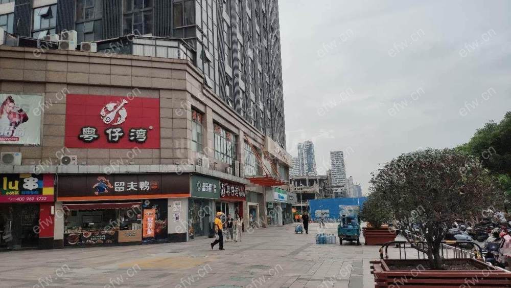 哥伦布广场(广益) 2室2厅