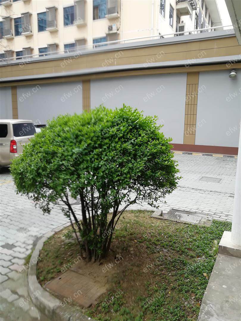 建华新村 2室2厅