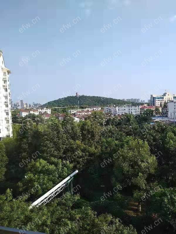 盛岸一村 的单间靠近地铁口