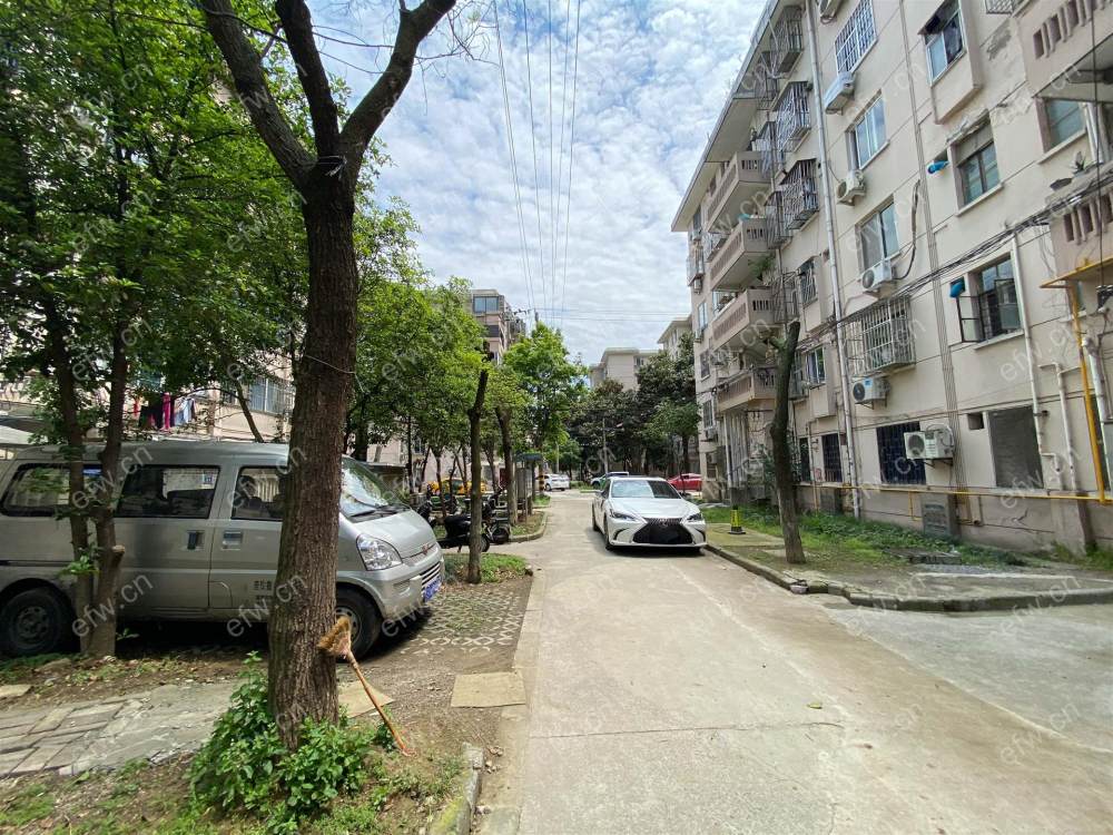 溪南新村 一楼带双开间院子