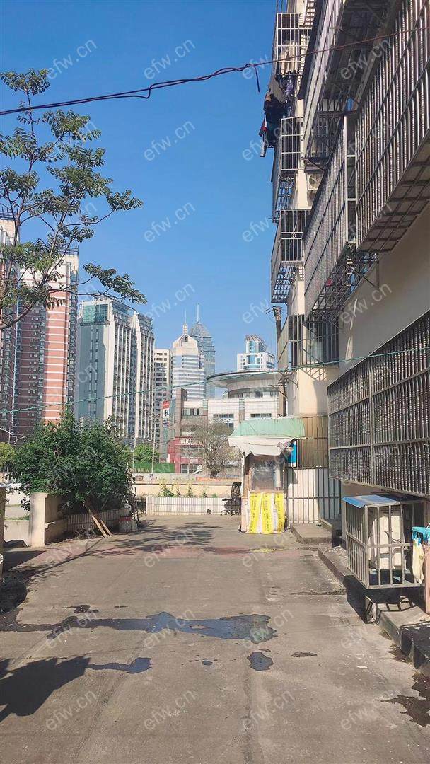 和泰苑 2室2厅中间楼层