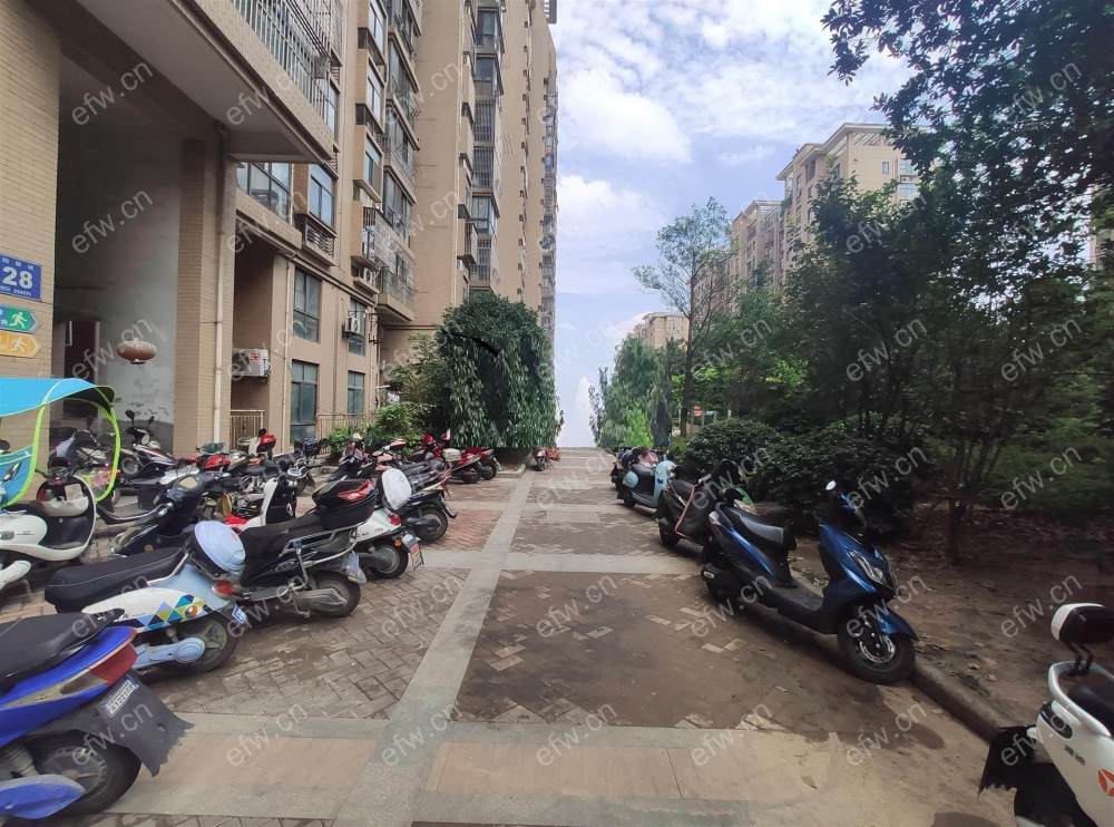 凤翔馨城 3室2厅   看房提前预约
