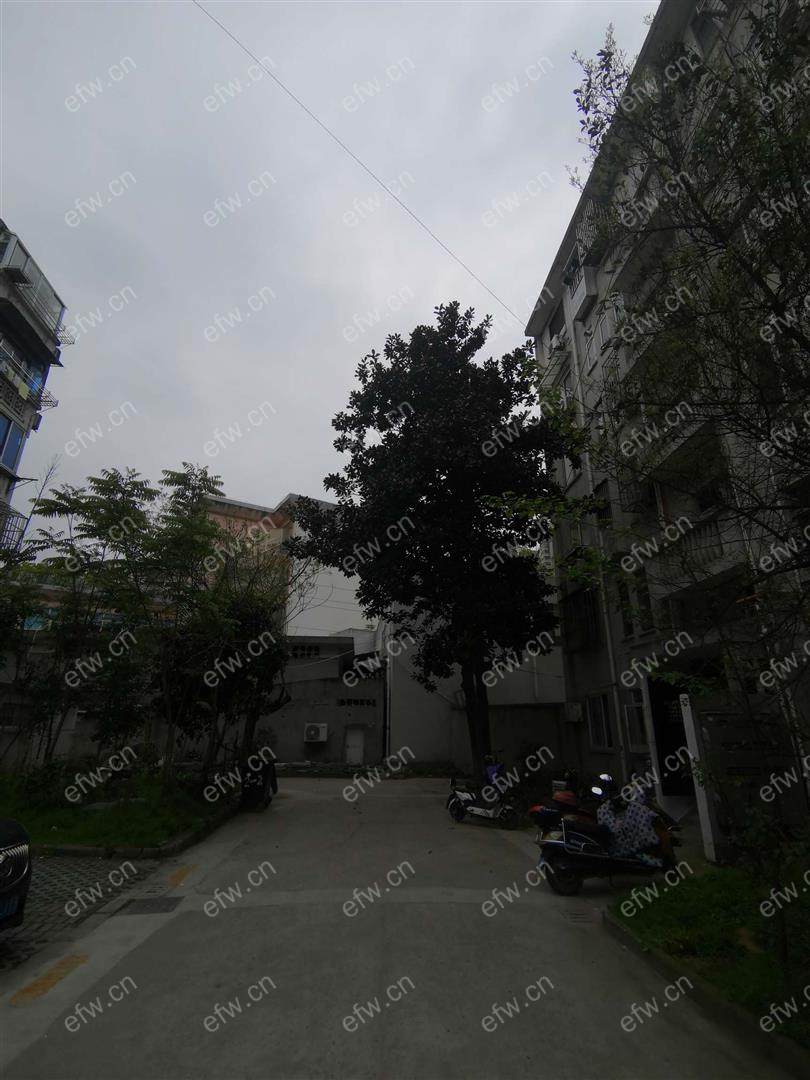 清扬新村 1室1厅