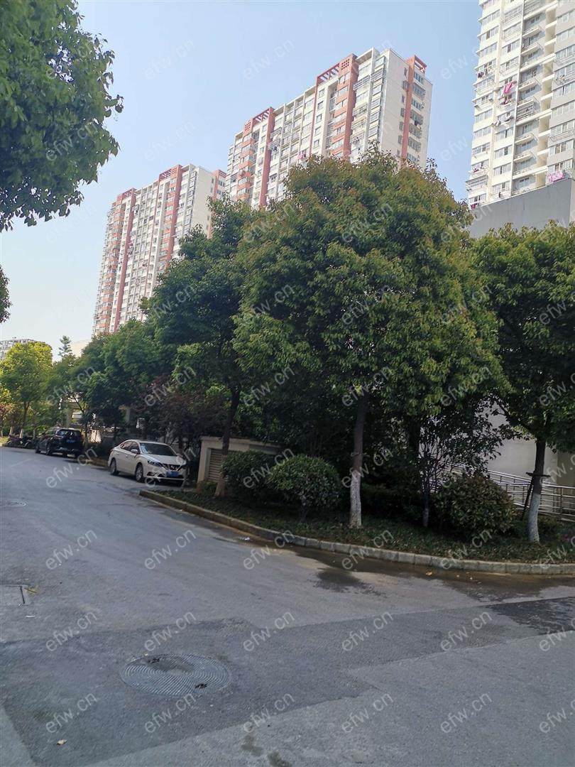 广石家园简装一室一厅 近学校 商业繁华