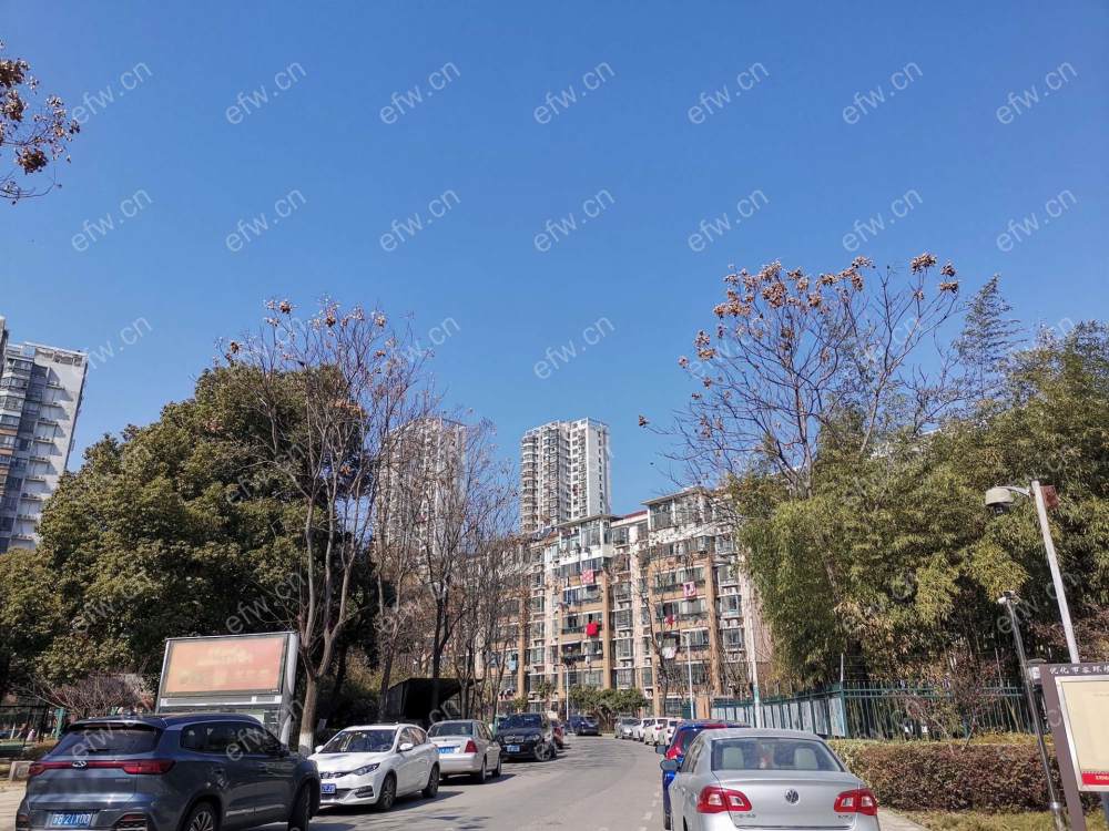 广石家园 3室3厅