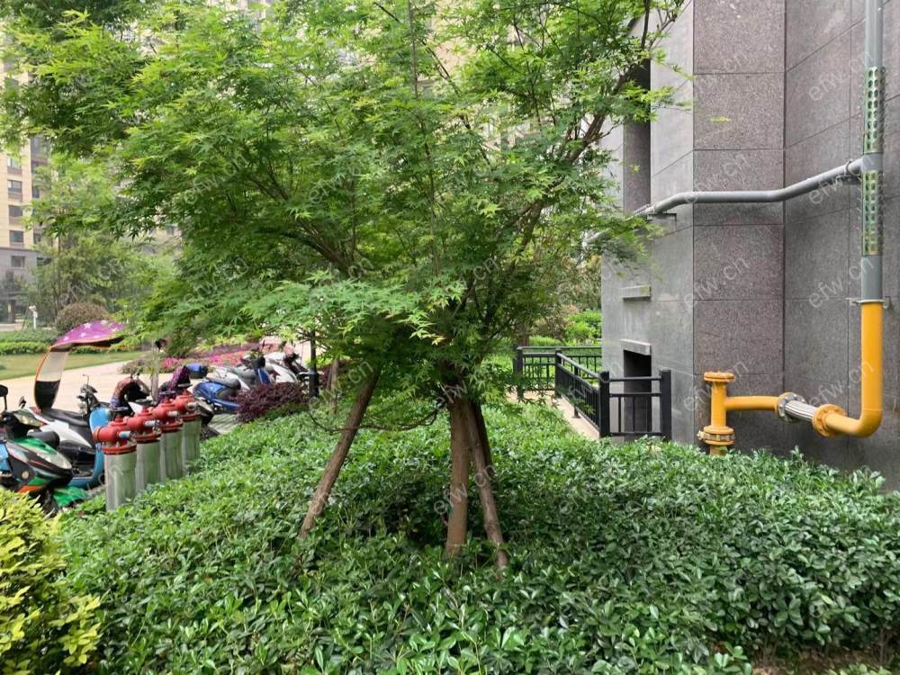 太平洋城中城三期B区(惠太商业广场） 3室2厅
