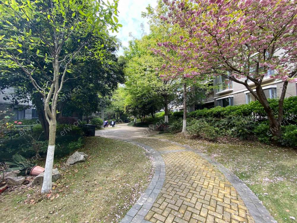 山语银城 年轻时尚,5居室,观景房,落地大飘窗,采光视野一流