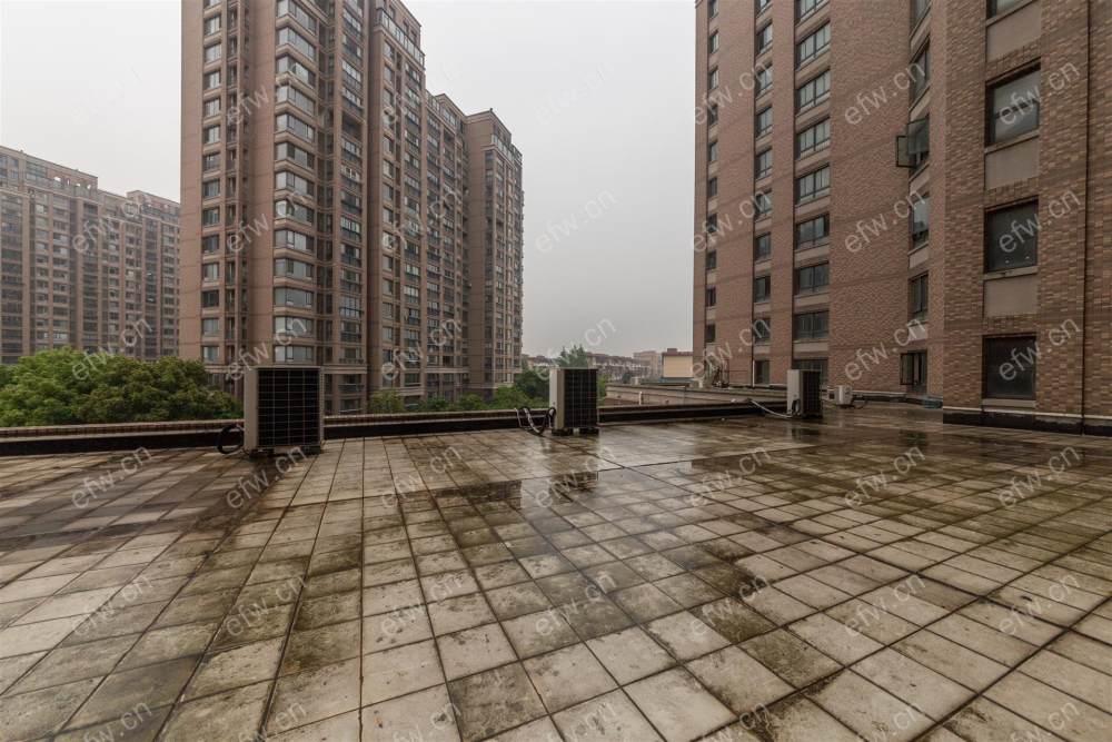 小天鹅品园 1室2厅