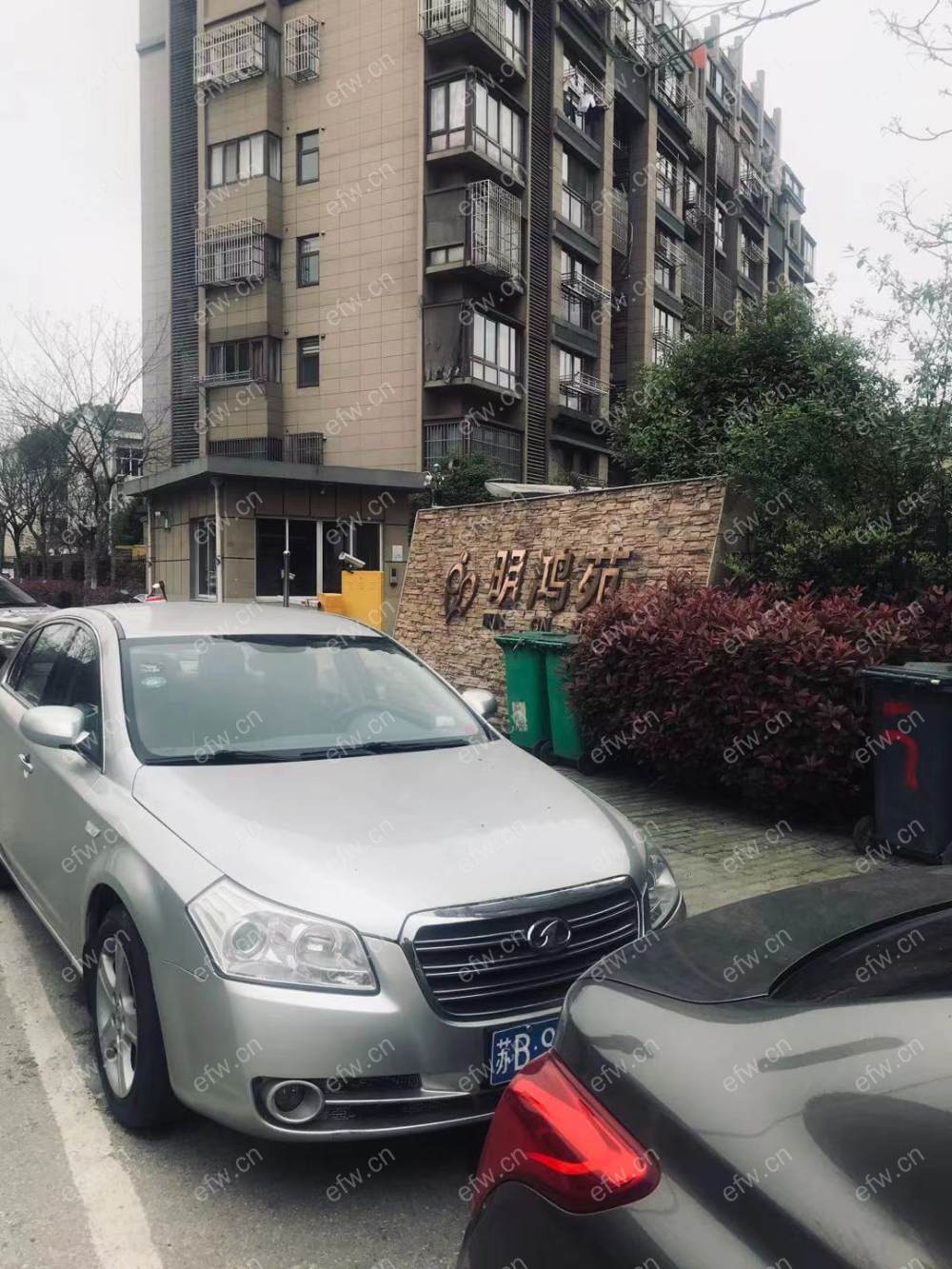 明鸿春晓