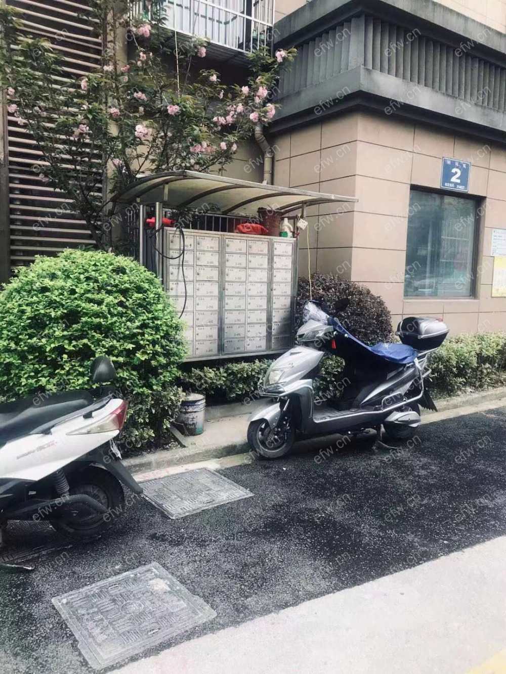 明鸿春晓
