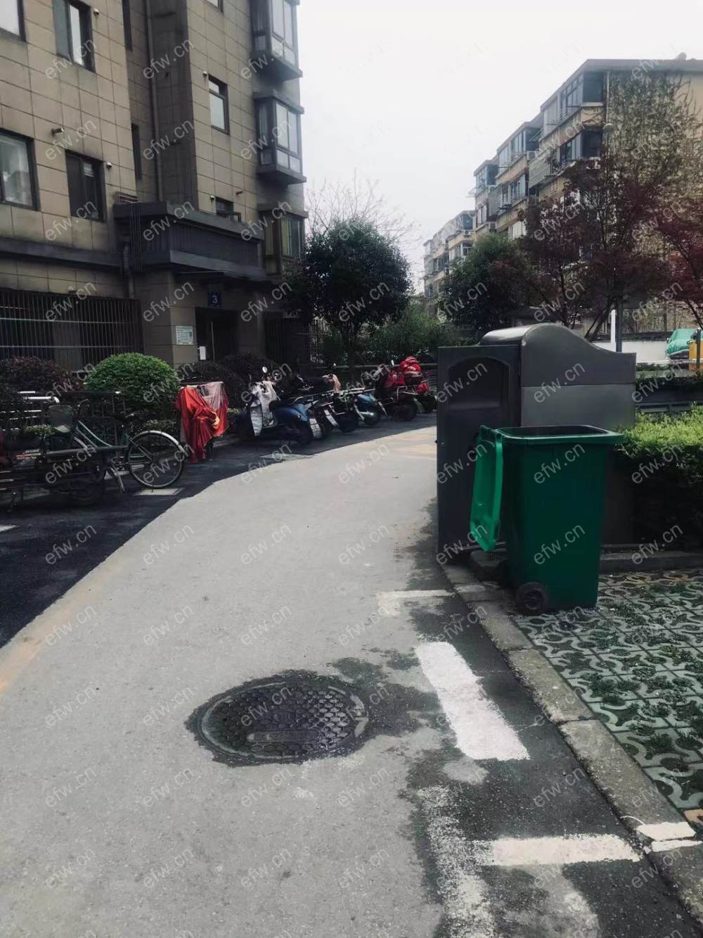 明鸿春晓