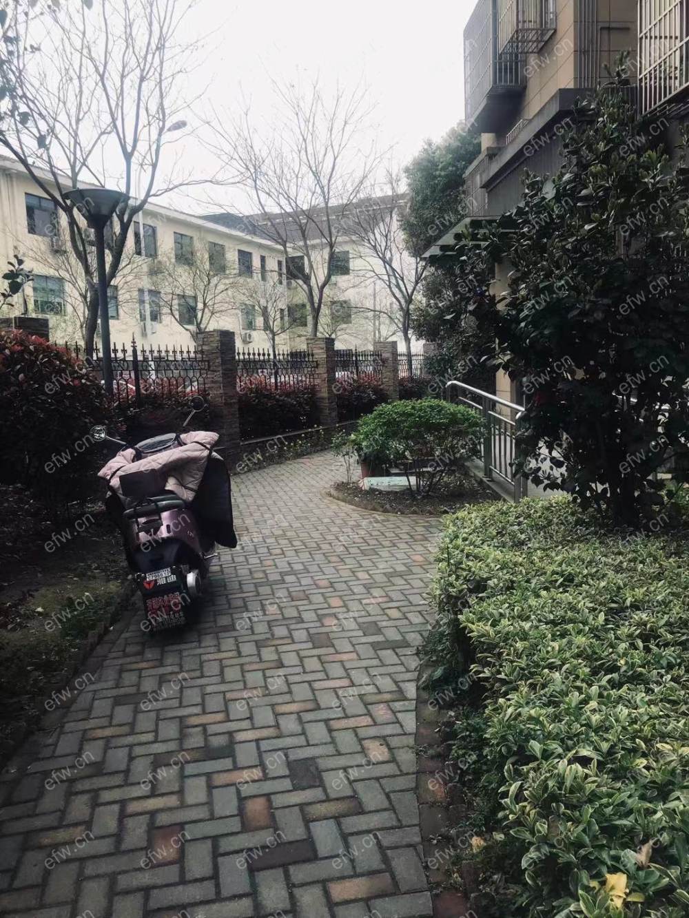 明鸿春晓