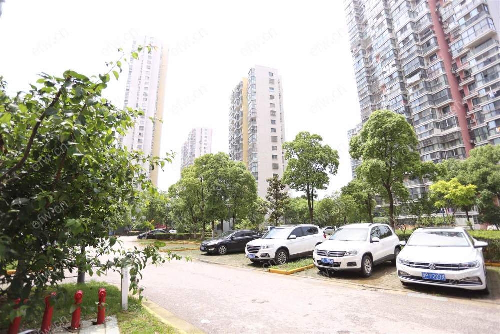 新纺家园(金星家园) 2室1厅 商品房 精装修拎包入住