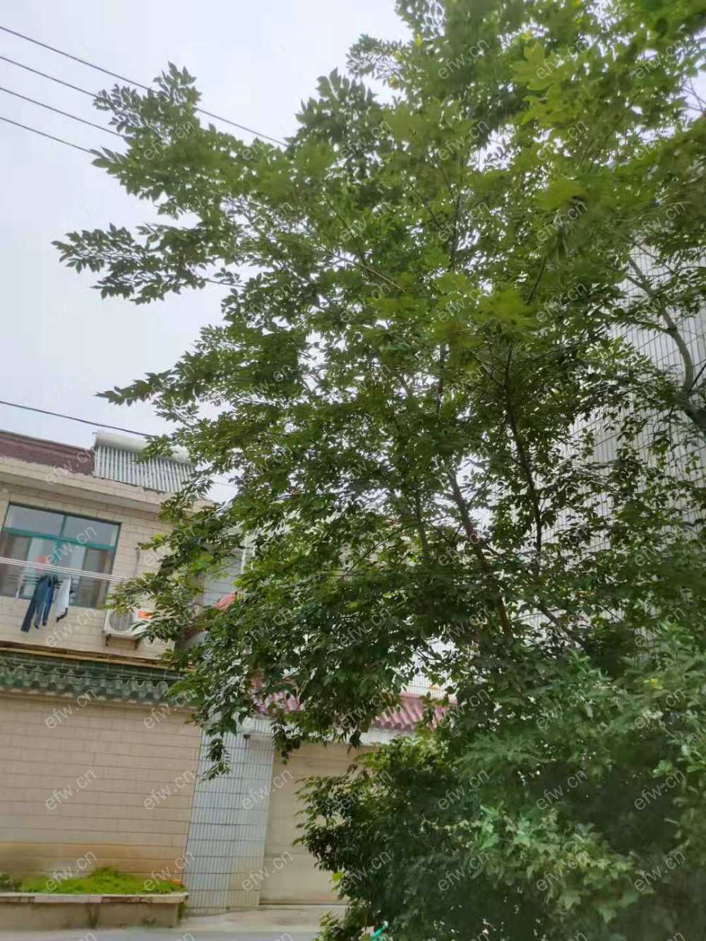 周堂里