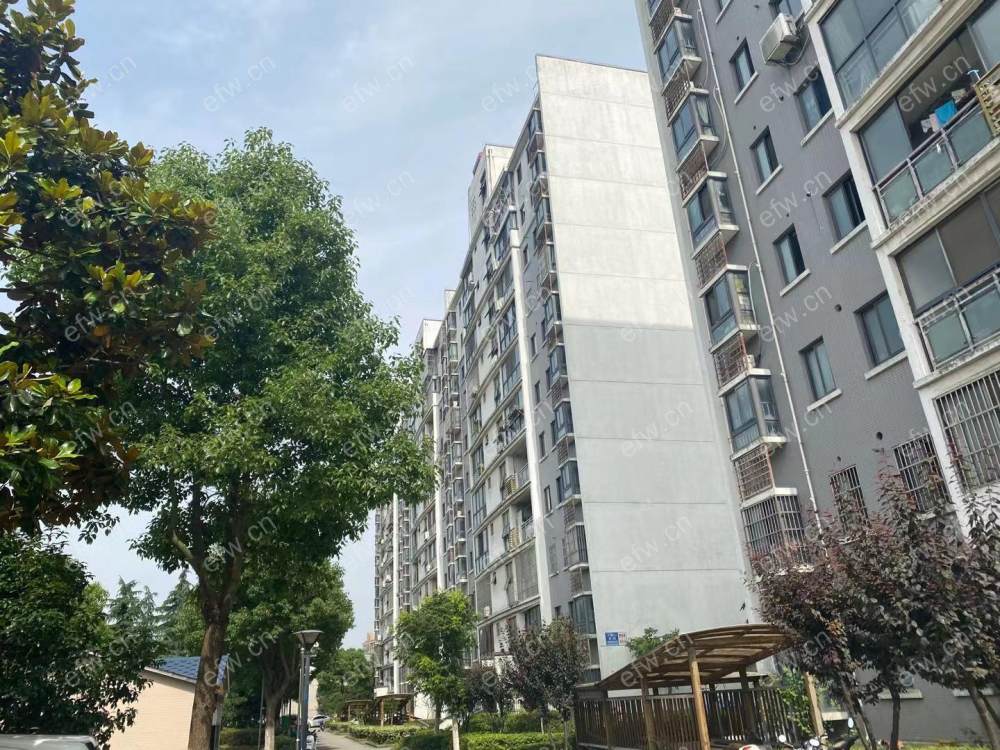 大箕山家园   2室2厅