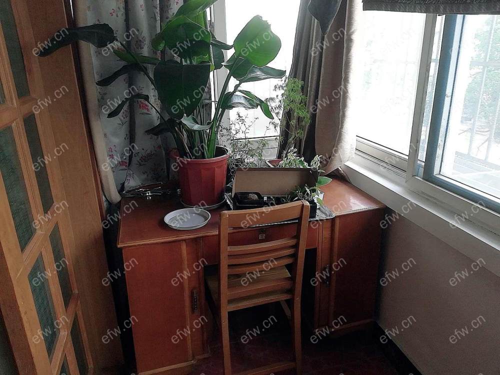 新江南花园 1室1厅