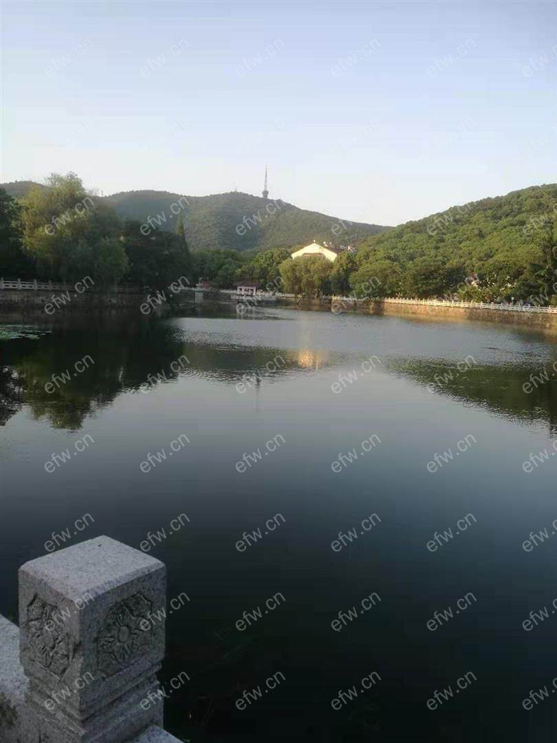 梁巷精装4室  随时看房 拎包入住