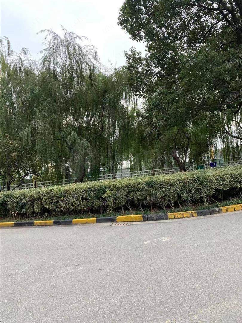 新港际(新港公寓) 2室2厅 104平