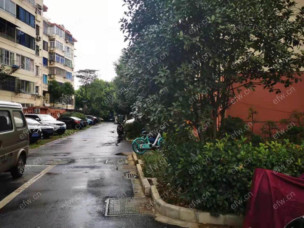 沁园新村 3室1厅