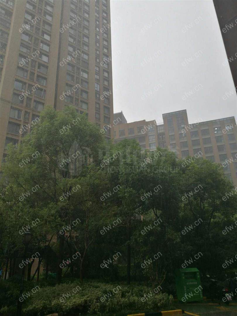 嘉德港与城(水韵金阁) 1室1厅
