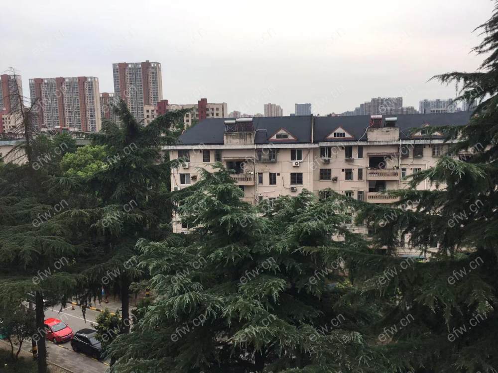 溪南新村 2室1厅